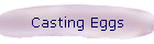Casting Eggs